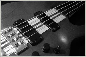 Our complete range of basses
