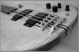 Unique custom designed basses